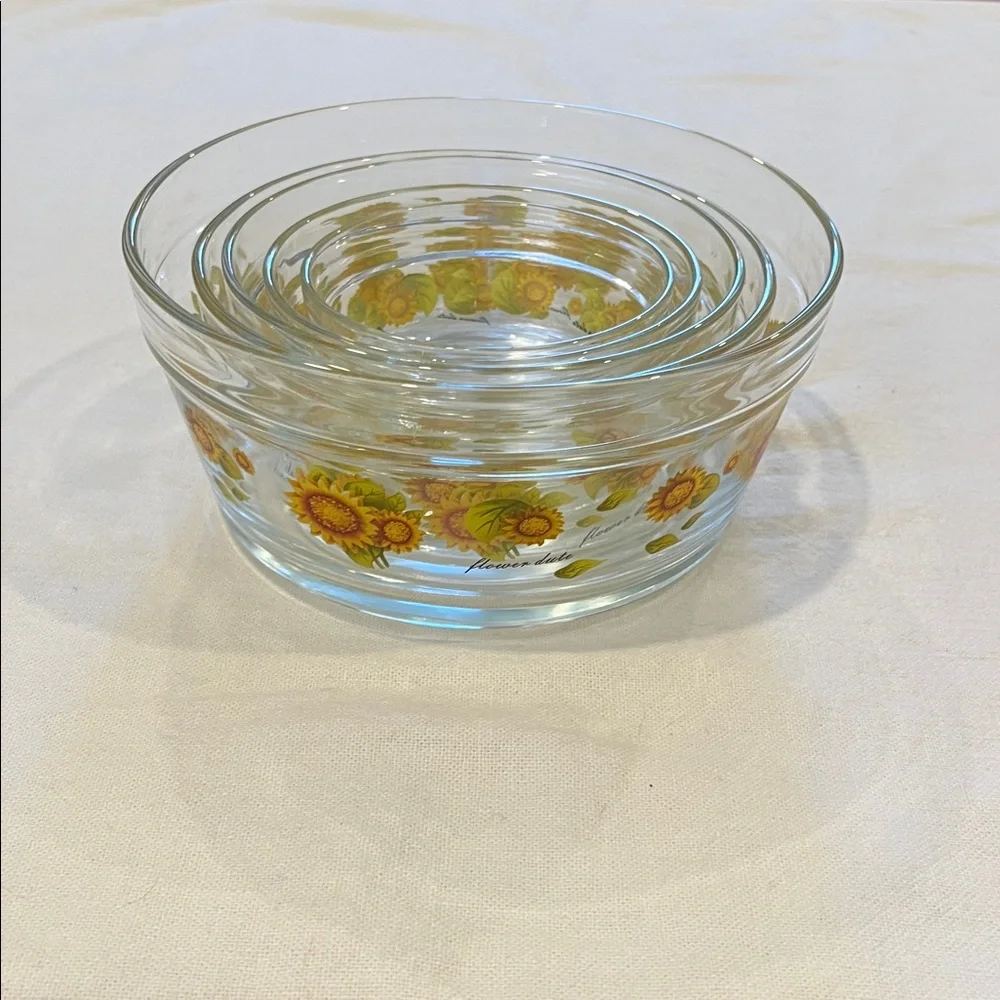 Glass Bowl Set